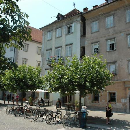 Vitez Apartment II Любляна Екстериор снимка