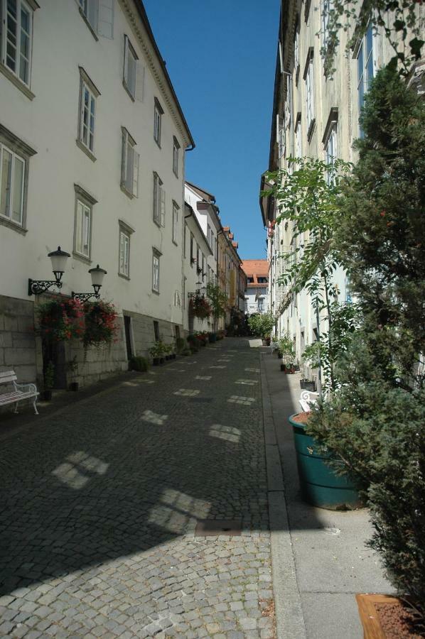 Vitez Apartment II Любляна Екстериор снимка