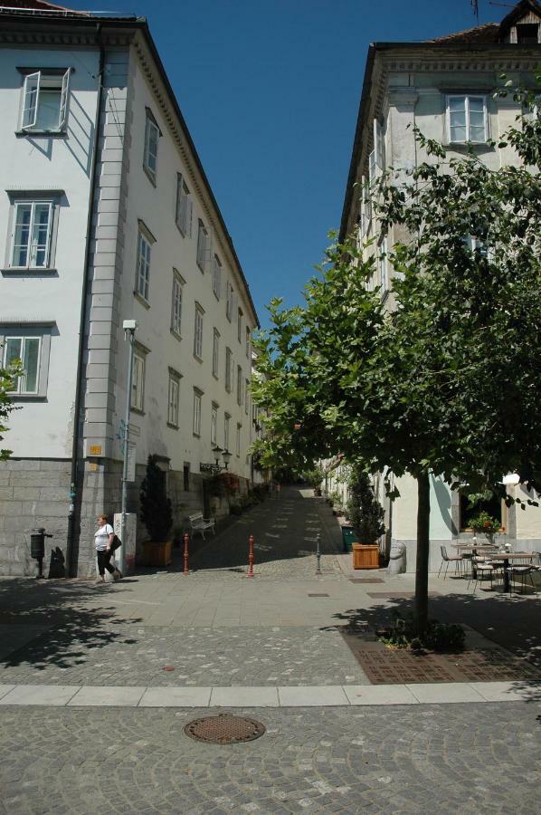 Vitez Apartment II Любляна Екстериор снимка